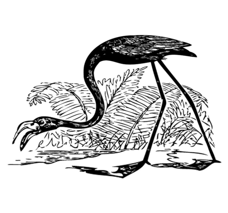 비닐 카펫 동물 플라밍고와 양치식물 - TenStickers