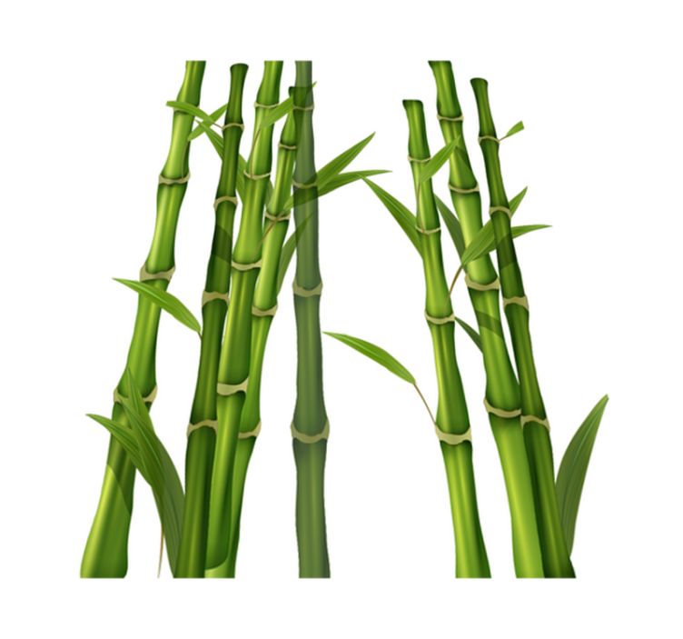 욕실용 비닐 카펫 대나무 패턴 - TenStickers