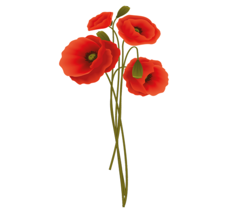 욕실용 비닐 카펫 섬세한 양귀비 - TenStickers