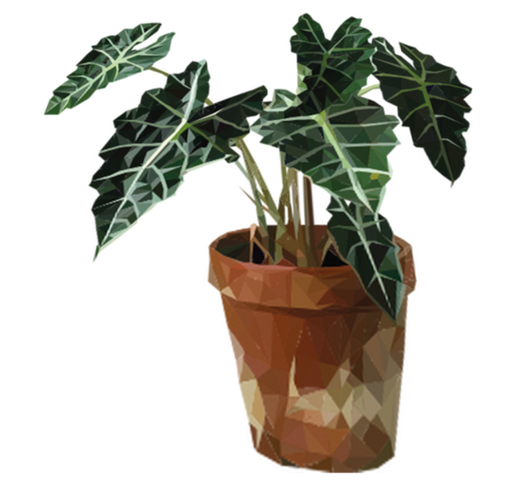 비닐 카펫 꽃과 식물 기하학적 화분 식물 - TenStickers