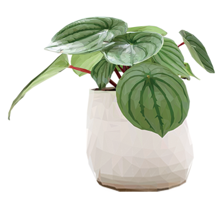 비닐 카펫 꽃과 식물 간편한 홈 플랜트 - TenStickers