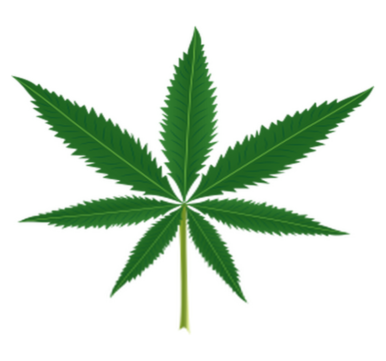 비닐 카펫 꽃과 식물 대마초 잎 - TenStickers