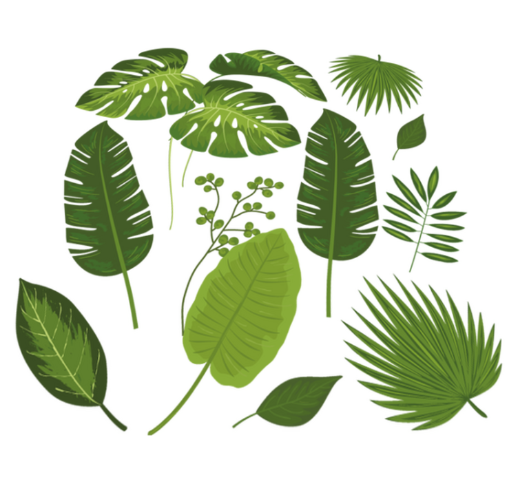 비닐 카펫 꽃과 식물 다양한 잎사귀 - TenStickers