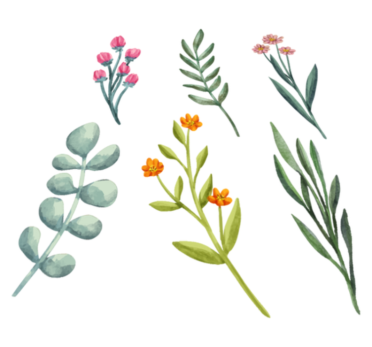 비닐 카펫 꽃과 식물 식물 가지 - TenStickers