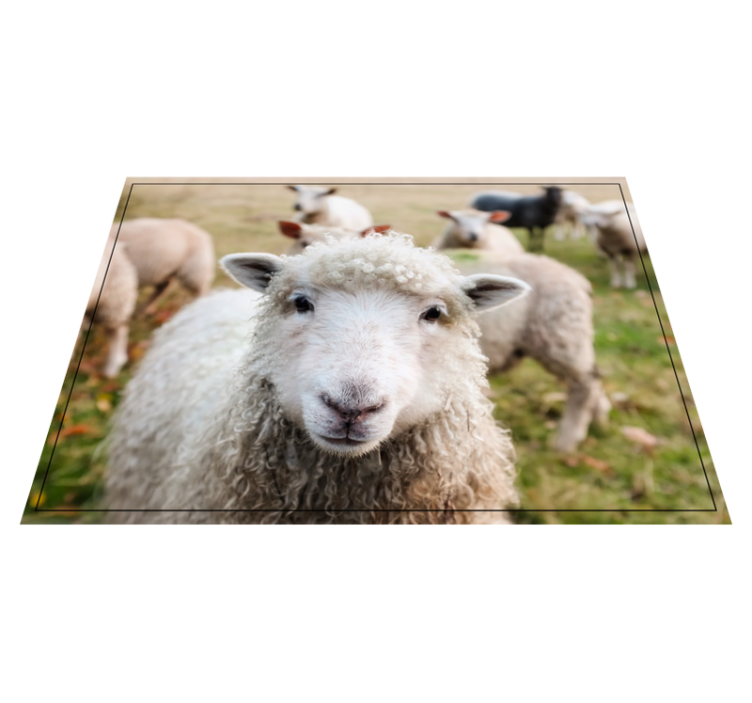 비닐 카펫 동물 곱슬 양 얼굴 - TenStickers