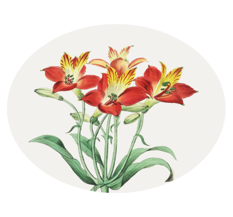 비닐 카펫 꽃과 식물 생동감 넘치는 붉은 꽃 - TenStickers