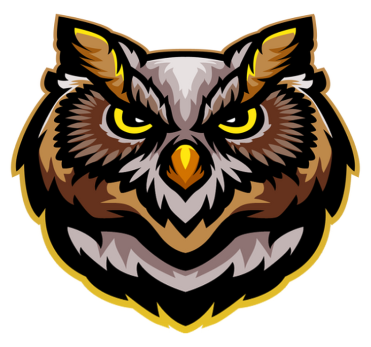 화난 갈색 올빼미 얼굴 침실 깔개 - TenStickers