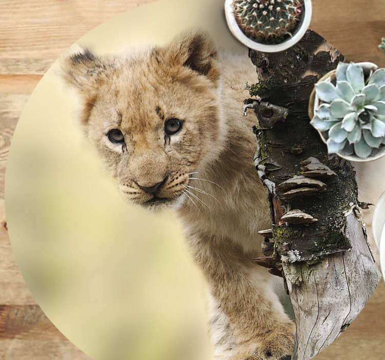 애니멀 프린트 비닐 카펫 호기심 많은 사자 새끼 - TenStickers