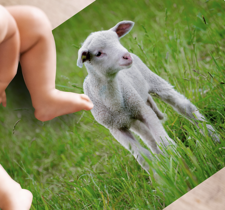 비닐 카펫 동물 아기 양 서 있는 모습 - TenStickers