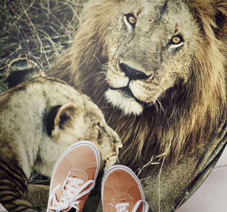 비닐 카펫 동물 장엄한 사자 커플 - TenStickers