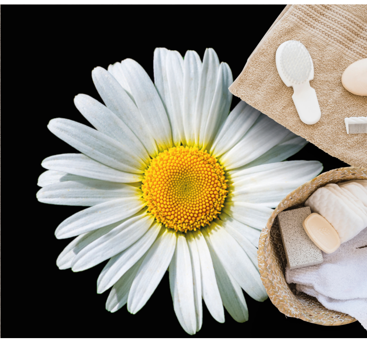 비닐 카펫 꽃과 식물 데이지 블로섬 - TenStickers