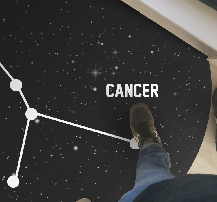 별이있는 비닐 카펫 천체 별자리 - TenStickers