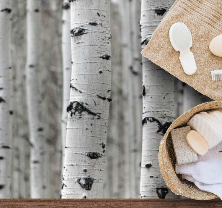 흰 자작나무 숲 텍스처 카펫 - TenStickers