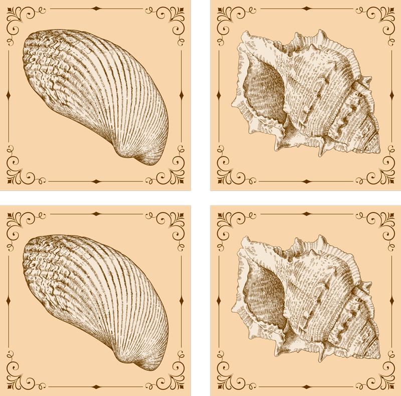 비닐 카펫 동물 빈티지 조개껍질 - TenStickers
