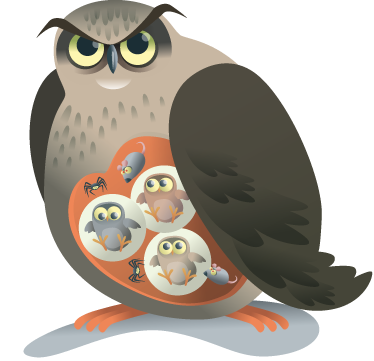 비닐 카펫 동물 어미 올빼미 - TenStickers