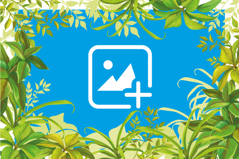 비닐 카펫 동물 - 초록 속의 고양이 - TenStickers