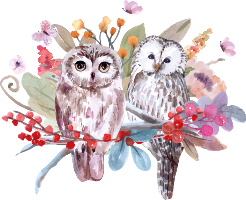 비닐 카펫 동물 자연 속 부엉이 - TenStickers