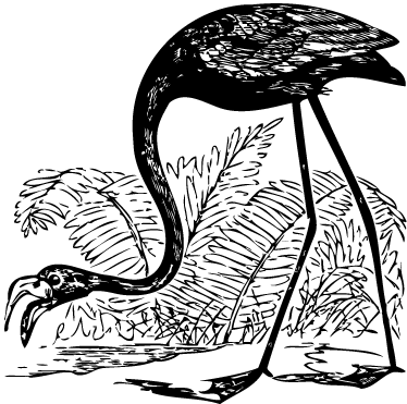 비닐 카펫 동물 플라밍고와 양치식물 - TenStickers