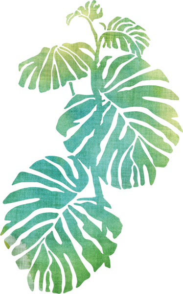 비닐 카펫 꽃과 식물 아쿠아렐라 아담스 립 - TenStickers