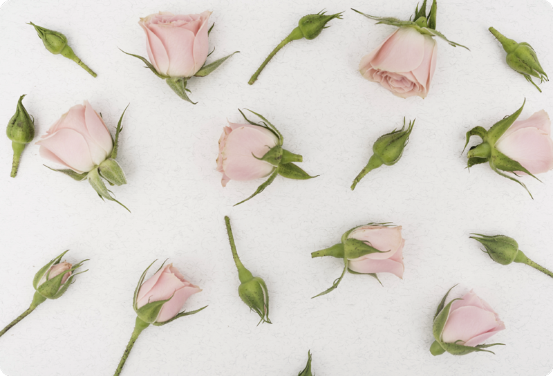 비닐 카펫 꽃과 식물 로맨틱 봄꽃 - TenStickers