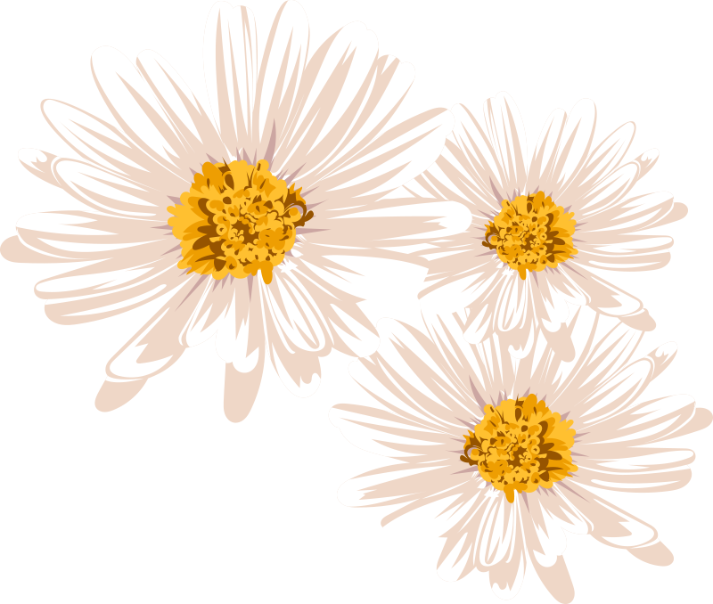 비닐 카펫 꽃과 식물 매력적인 꽃꽂이 - TenStickers