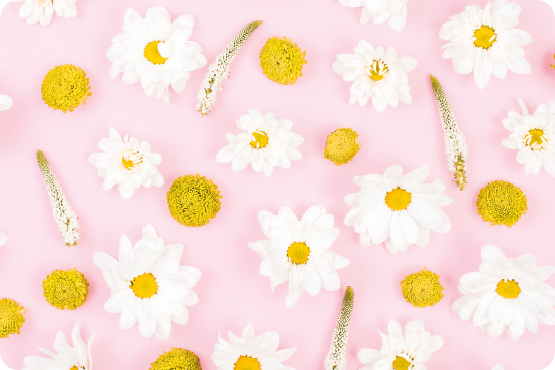 비닐 카펫 꽃과 식물 다채로운 꽃들 - TenStickers