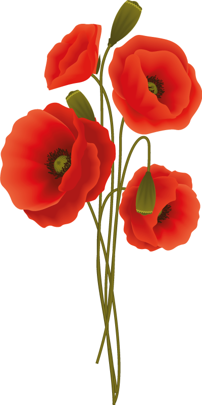 욕실용 비닐 카펫 섬세한 양귀비 - TenStickers