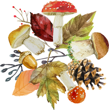 비닐 카펫 자연 숲의 잎과 열매 - TenStickers