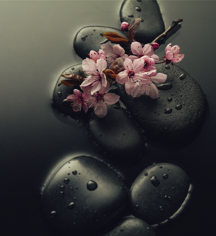 비닐 카펫 자연 화장실용 돌로 만든 젠 분위기 - TenStickers