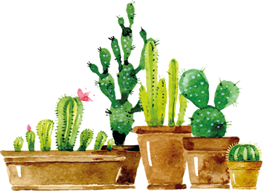 비닐 카펫 꽃과 식물 수제 선인장 정원 - TenStickers