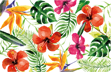 비닐 카펫 꽃과 식물 몬스테라 델리시오사 스티커 - TenStickers