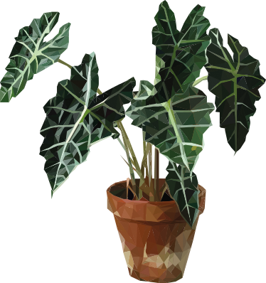 비닐 카펫 꽃과 식물 기하학적 화분 식물 - TenStickers