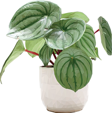 비닐 카펫 꽃과 식물 간편한 홈 플랜트 - TenStickers