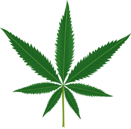 비닐 카펫 꽃과 식물 대마초 잎 - TenStickers