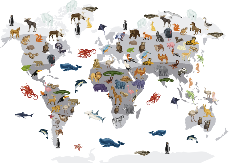 세계 지도 비닐 카펫 북유럽 스타일 세계 지도 벽 스티커 - TenStickers