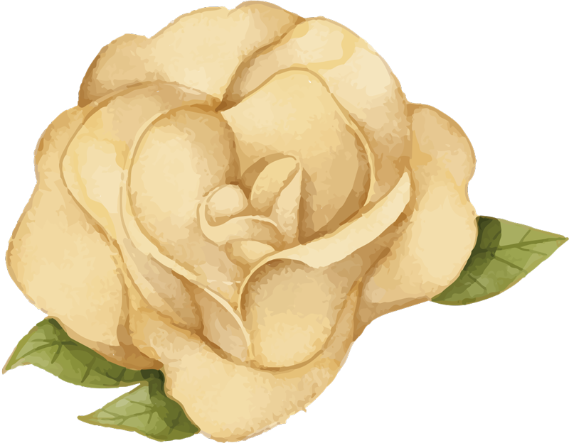 비닐 카펫 꽃과 식물 꽃 윤곽 - TenStickers