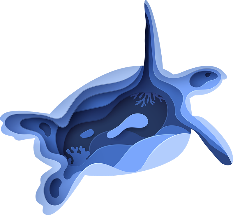 비닐 카펫 동물 바다거북 모양 - TenStickers