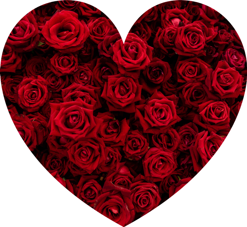 비닐 카펫 꽃과 식물 하트 모양의 로맨스 - TenStickers