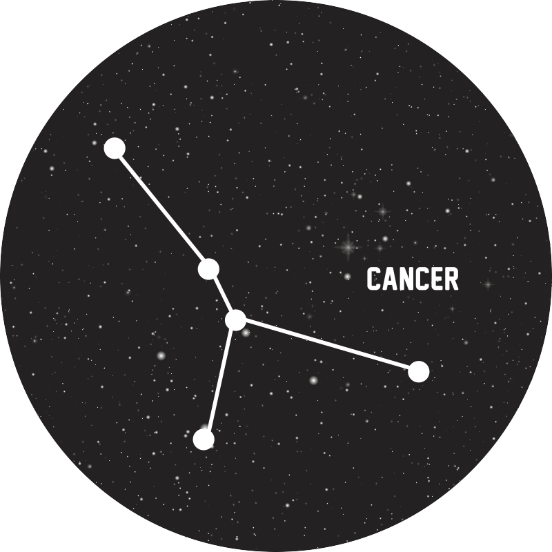 별이있는 비닐 카펫 천체 별자리 - TenStickers