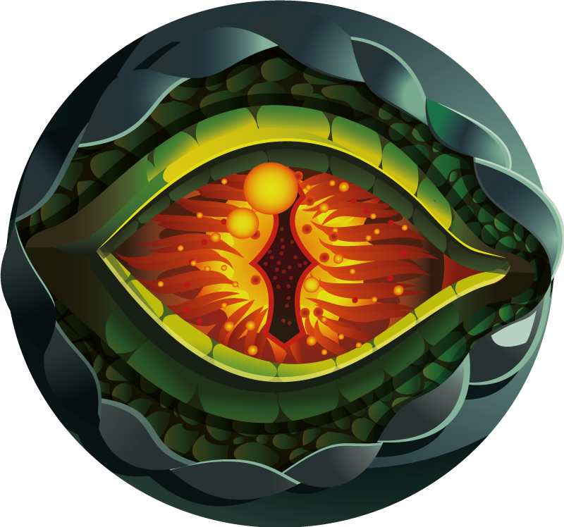 공룡 눈 자연 디자인 동물 깔개 - TenStickers