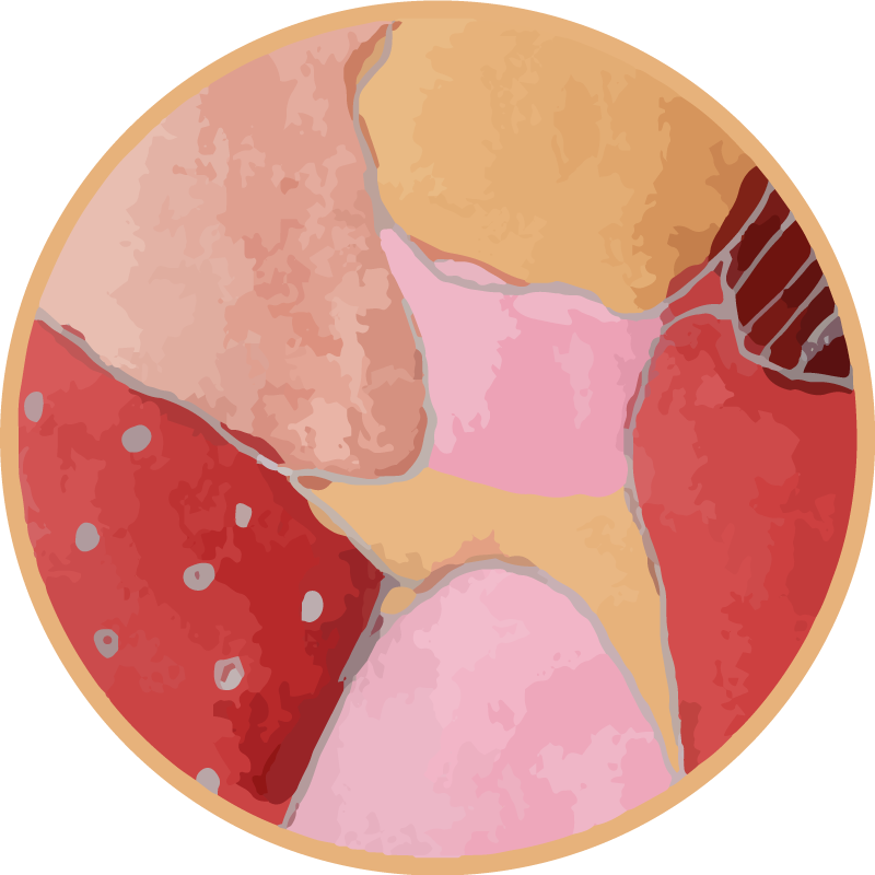 비닐 현관 카펫 화사한 꽃무늬 디자인 - TenStickers