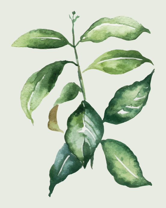 비닐 카펫 꽃과 식물 식물 잎 그림 - TenStickers