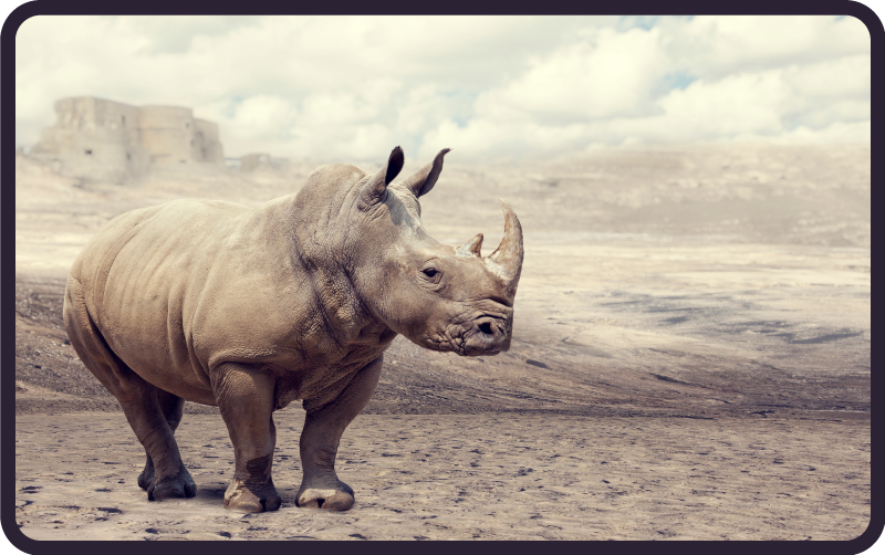 비닐 카펫 동물 장엄한 코뿔소 풍경 - TenStickers