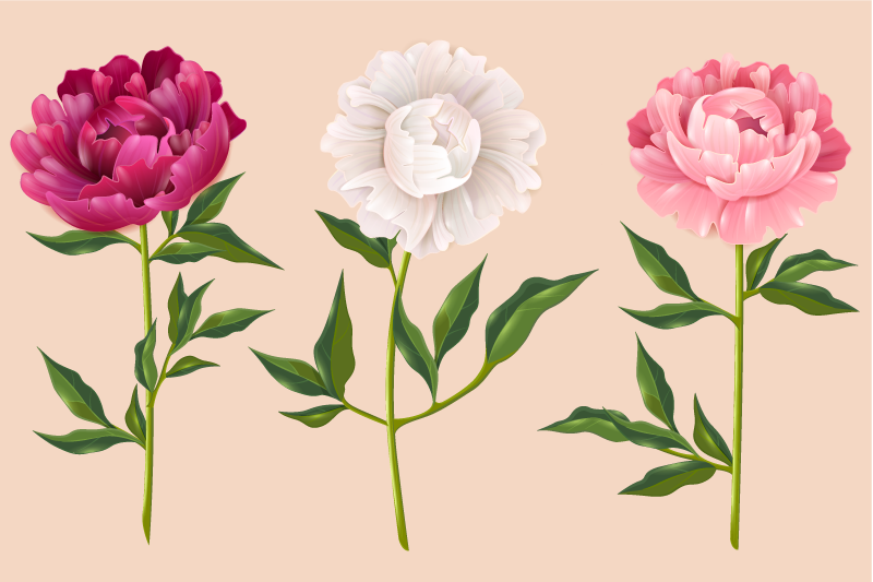 욕실용 비닐 카펫 우아한 트리오 배치 - TenStickers