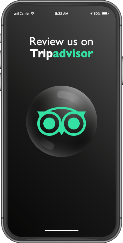 비닐 카펫 세일 중 트립어드바이저에 리뷰 남겨주세요 - TenStickers