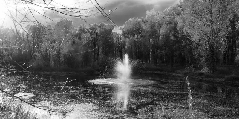 비닐 카펫 자연 고요한 폭포 풍경 - TenStickers