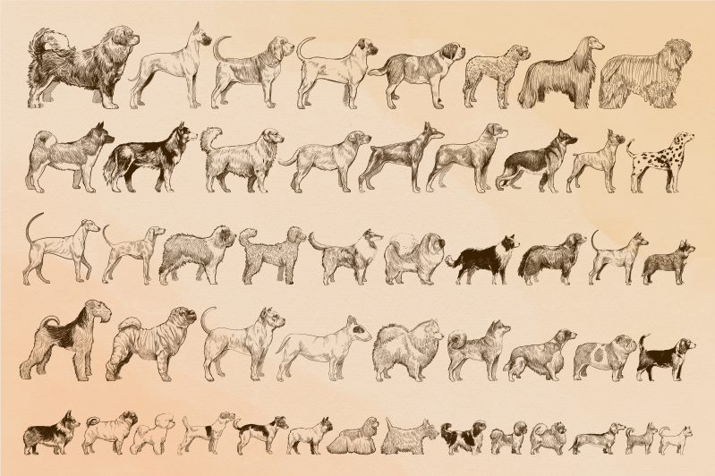 비닐 카펫 동물 베이지색 강아지 일러스트 - TenStickers