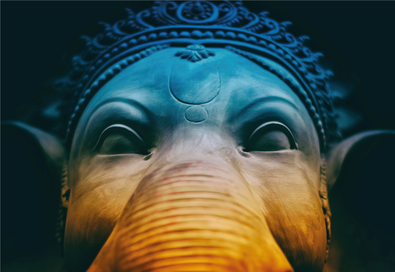 에트니아 비닐 카펫 에테리얼 코끼리 얼굴 - TenStickers