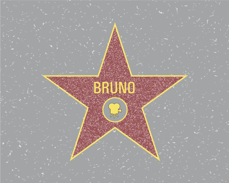 이름이있는 비닐 카펫 스타 인식 - TenStickers