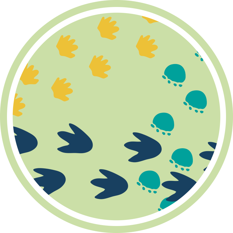 공룡 발자국 아기 놀이 매트 - TenStickers